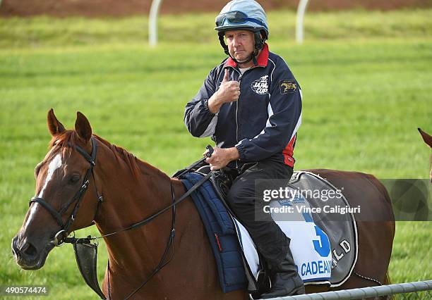 Steve Nicholson riding Red Cadeaux of Great Britain gives the thumbs up after a trackwork session at Werribee Racecourse on September 30, 2015 in...