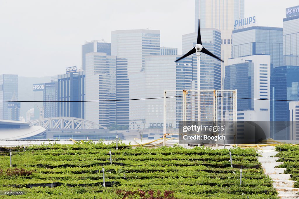 Erneuerbare Energien Green Urban Landwirtschaft in Hong Kong, China