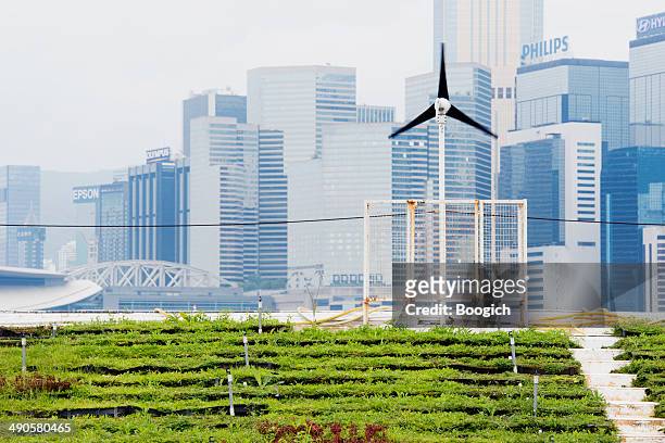 erneuerbare energien green urban landwirtschaft in hong kong, china - urban gardening stock-fotos und bilder