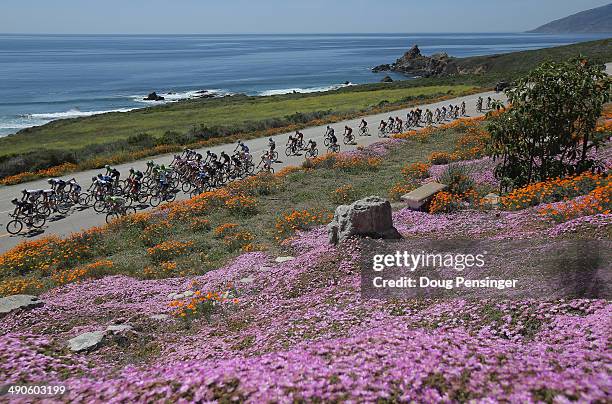 The peloton races along the Pacific Ocean on California Highway 1 during stage four of the 2014 Amgen Tour of California from Monterey to Cambria on...