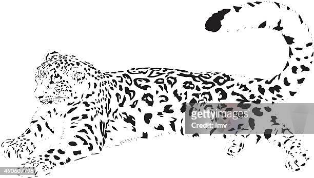 snow leopard illustration - snow leopard print stock illustrations