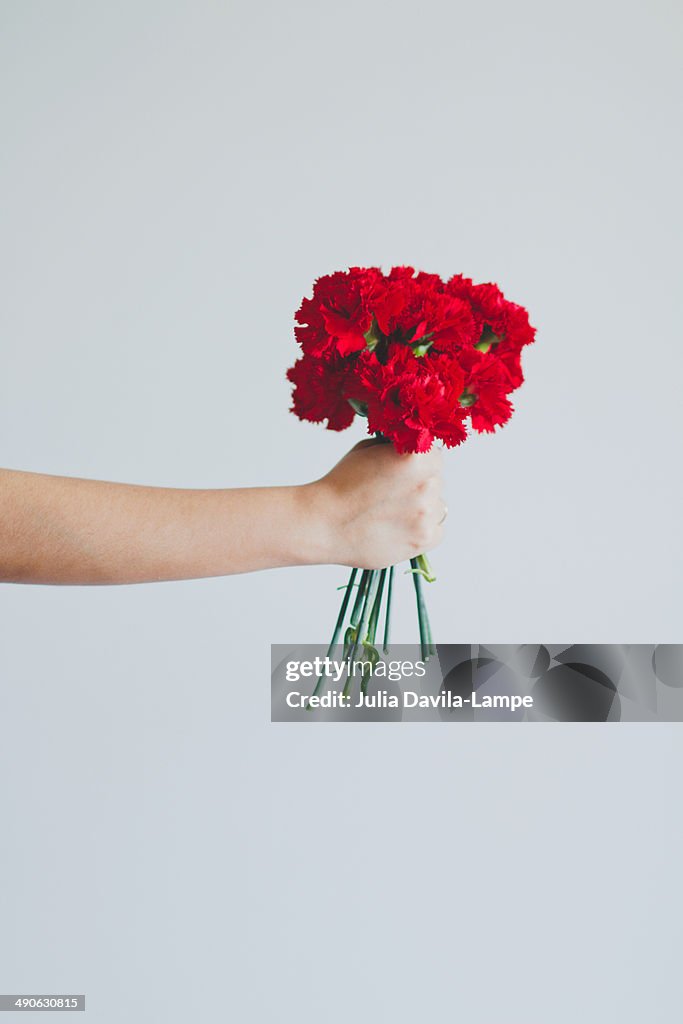 Red carnations