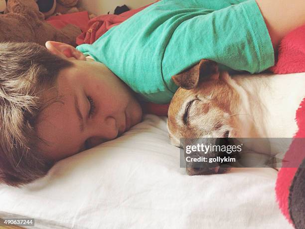 boy sleeping with dog - kid day dreaming stock pictures, royalty-free photos & images