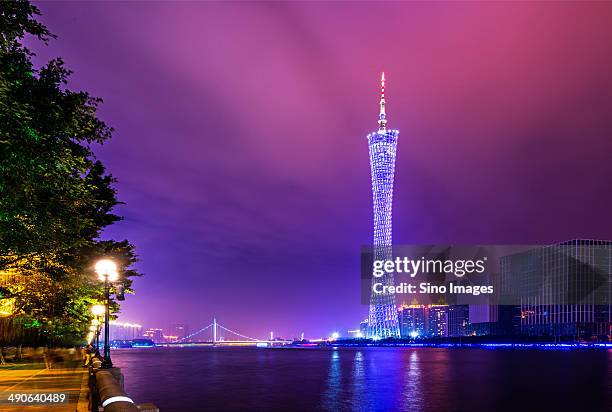 guangzhou tv tower at night,guangdong - canton tower stock pictures, royalty-free photos & images
