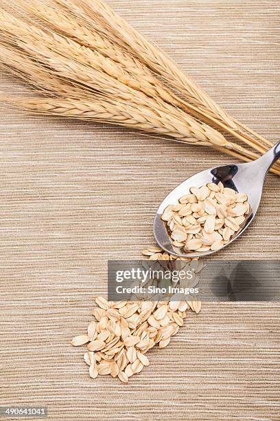 ear of wheat and oatmeal - oat ear stockfoto's en -beelden