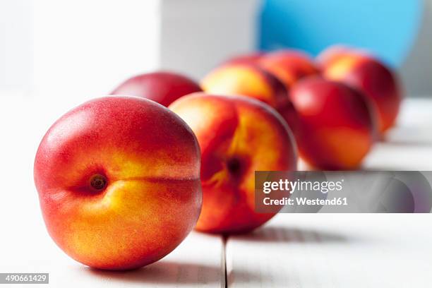 nectarines (prunus persica var. nucipersica) on white wooden table - nectarine stock-fotos und bilder