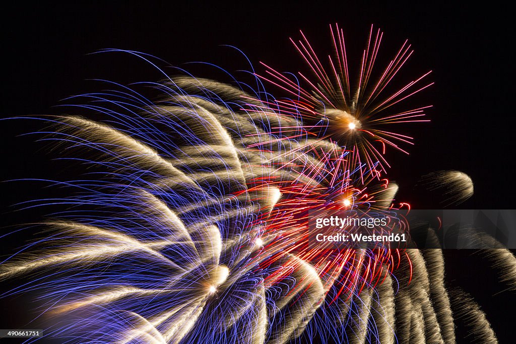 Fireworks in the night sky