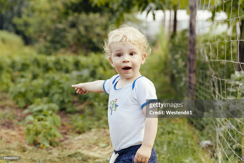 Toddler pointing at something in vegetable garden