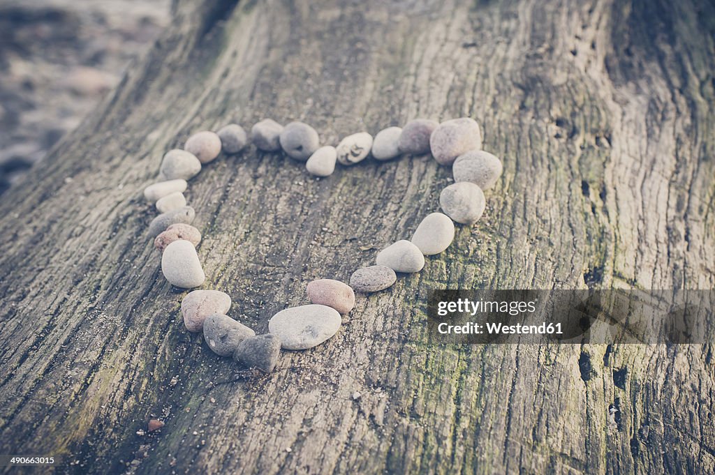 Stones forming heart on tree trunk