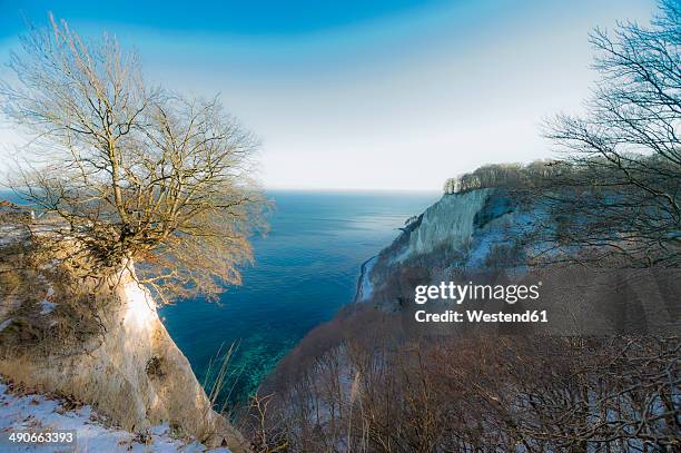 germany, mecklenburg-western pomerania, ruegen, jasmund national park in winter - rügen island chalk cliffs stockfoto's en -beelden