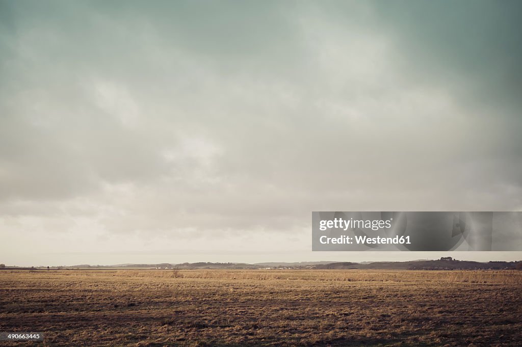 Germany, Mecklenburg-Western Pomerania, Ruegen, Fields landscape in winter