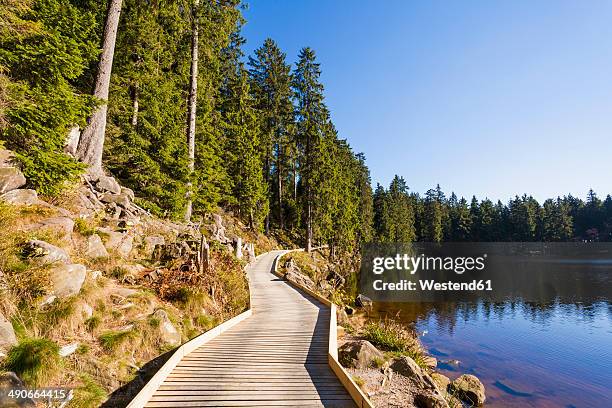 germany, baden-wuerttemberg, black forest, northern black forest, wooden boardwalk at mummelsee - floresta negra imagens e fotografias de stock