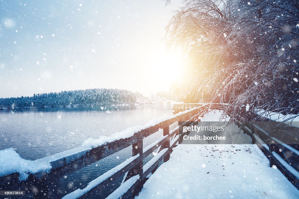Idyllic Frozen Footpath
