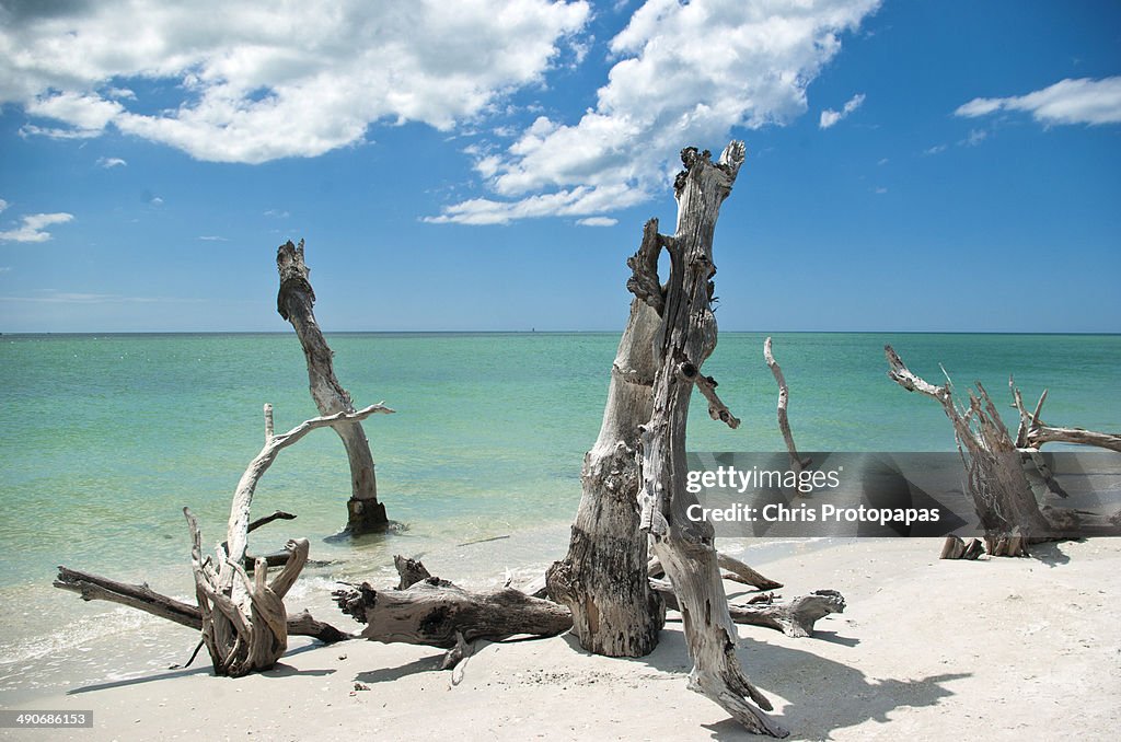 Captiva Island