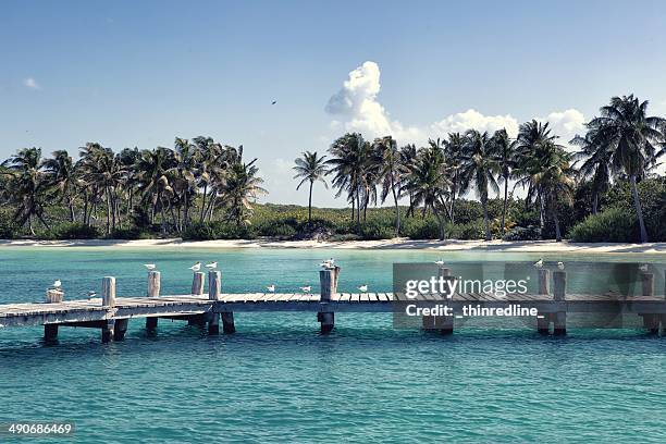 ¡buenos días méxico! - quintana roo stock-fotos und bilder