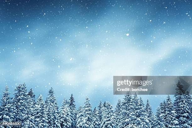 bosque de invierno - ventisca fotografías e imágenes de stock
