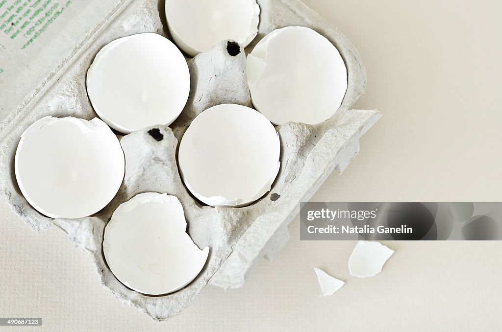 Eggshells in an egg container