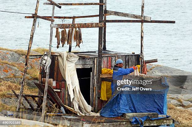 Fish drying outside a house in the Inuit village of Ilimanaq South of the Kangia Ice fiord . Ilimanaq is a traditional Greenland settlement, where...