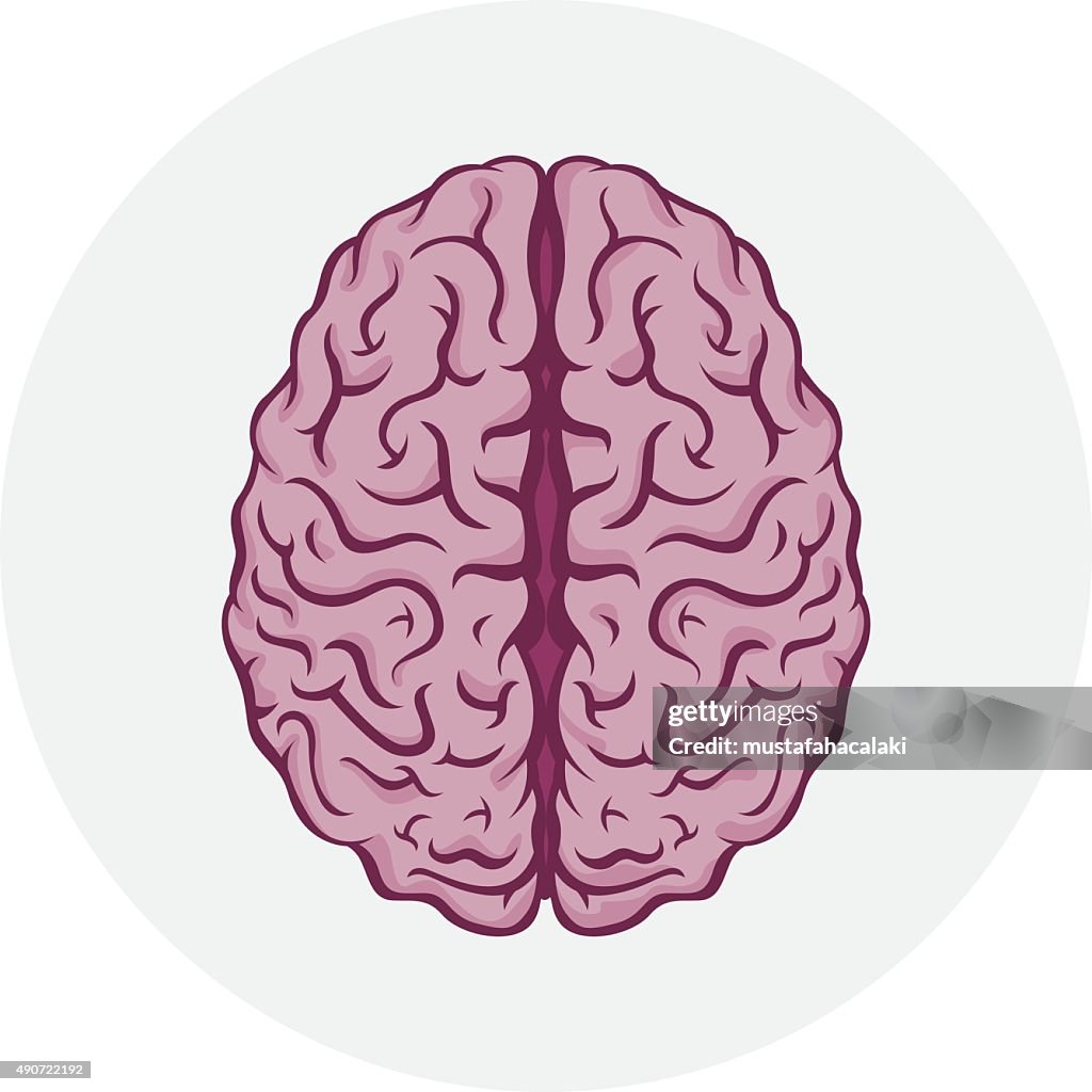 Isolated human brain