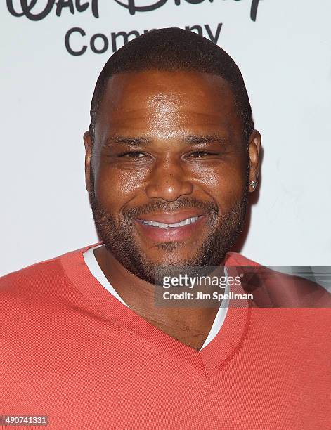 Actor Anthony Anderson attends A Celebration of Barbara Walters Cocktail Reception Red Carpet at the Four Seasons Restaurant on May 14, 2014 in New...