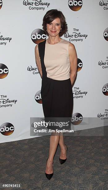 Elizabeth Vargas attends A Celebration of Barbara Walters Cocktail Reception Red Carpet at the Four Seasons Restaurant on May 14, 2014 in New York...