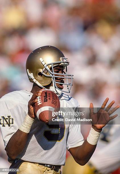 Tony Rice Photos and Premium High Res Pictures - Getty Images