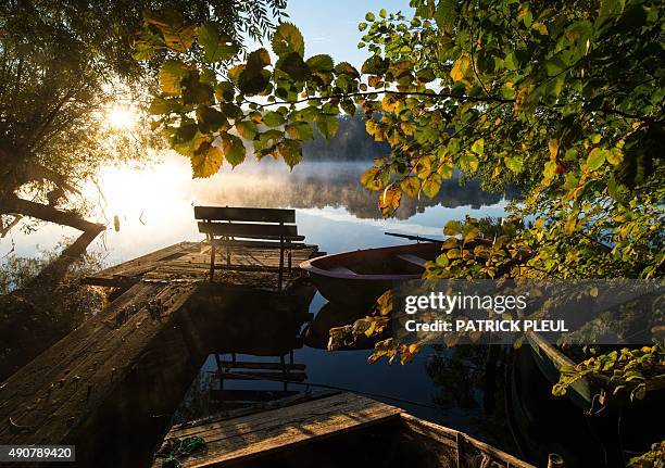 170 Zeschdorf Stock Photos, HighRes Pictures, and Images Getty Images