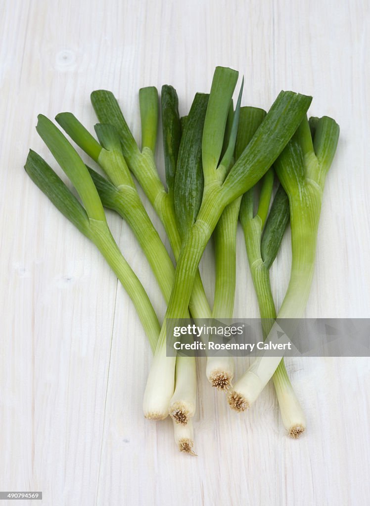 Organic spring onions on white surface