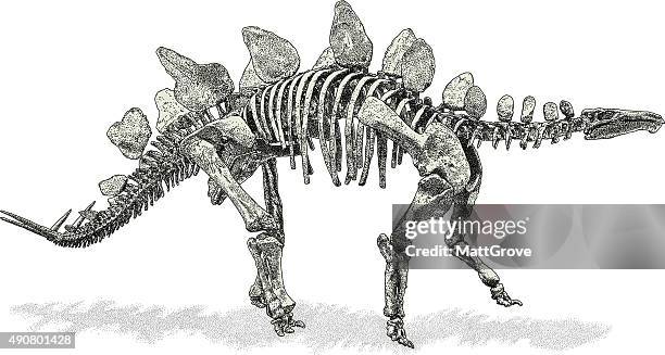 stegosaurus - thyreophora stock-grafiken, -clipart, -cartoons und -symbole