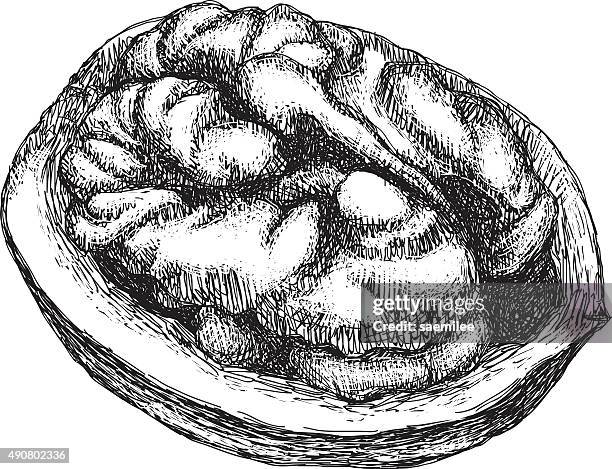 walnut drawing - baking ingredients white background stock illustrations