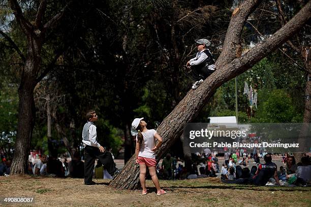 Child dressed as 'Chulapo' climbs a tree during the San Isidro festivities at Pradera de San Isidro park on May 15, 2014 in Madrid, Spain. During the...