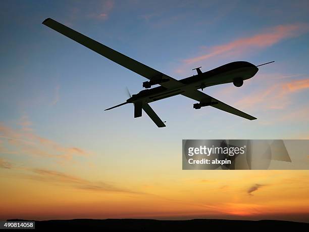 unmanned aerial vehicle (uav) - armed forces stock pictures, royalty-free photos & images