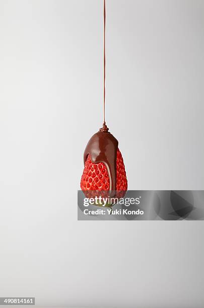 chocolate dripping strawberries. - chocolate covered strawberries stock-fotos und bilder