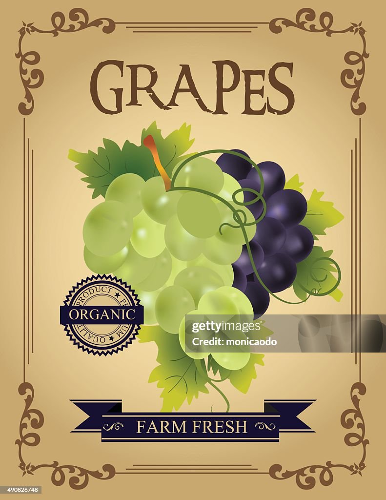 Grape Poster Vintage Fresh Grapes Poster High-Res Vector Graphic - Getty Images