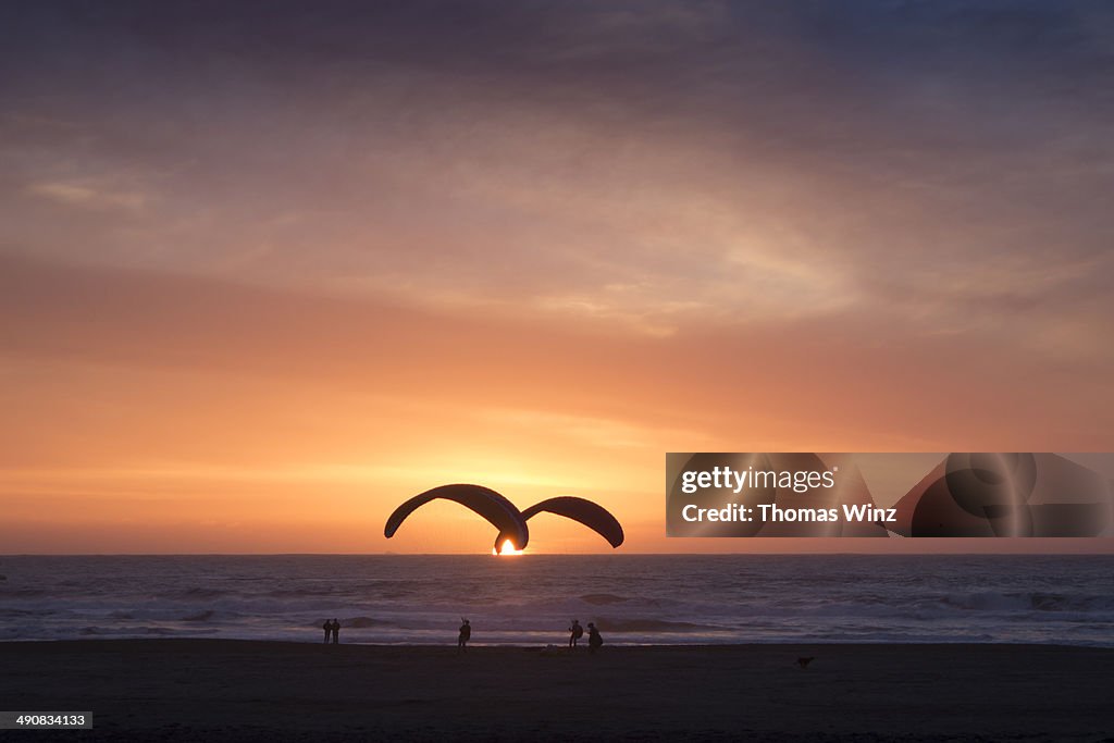 Kiteboarders on the beach at sundown