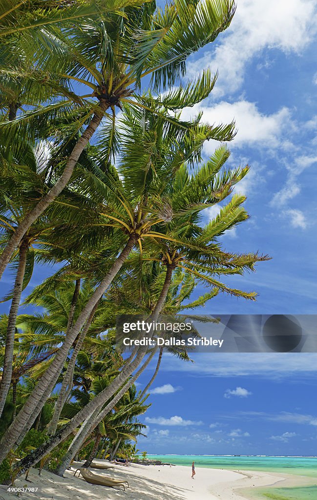 Tropical palm-fringed beach
