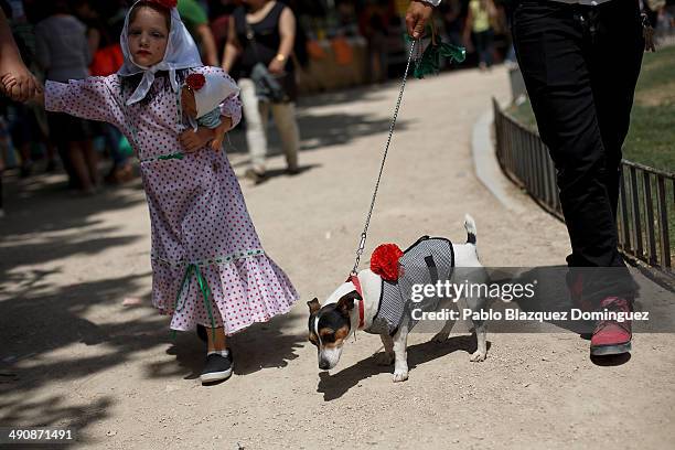 Family walk with their dog dressed as 'chulapo' during the San Isidro festivities at Pradera de San Isidro park on May 15, 2014 in Madrid, Spain....