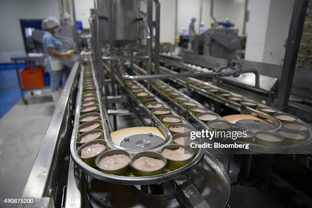 Tuna Process 384 Tuna Processing Stock Photos, High-Res Pictures, and Images - Getty ...