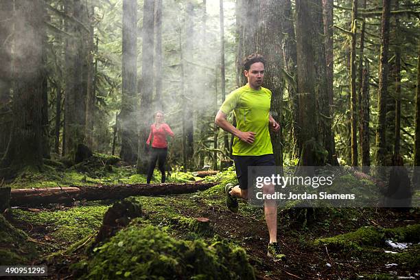 a coupole running in the forest. - strumpbyxor bildbanksfoton och bilder