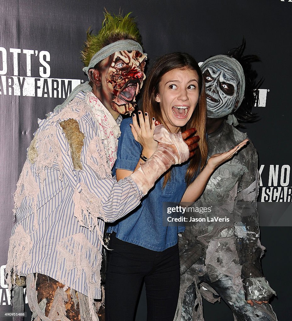 Knott's Scary Farm Black Carpet