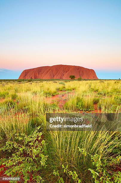 uluru dusk, northern territory australia - uluru-kata tjuta national park stock pictures, royalty-free photos & images