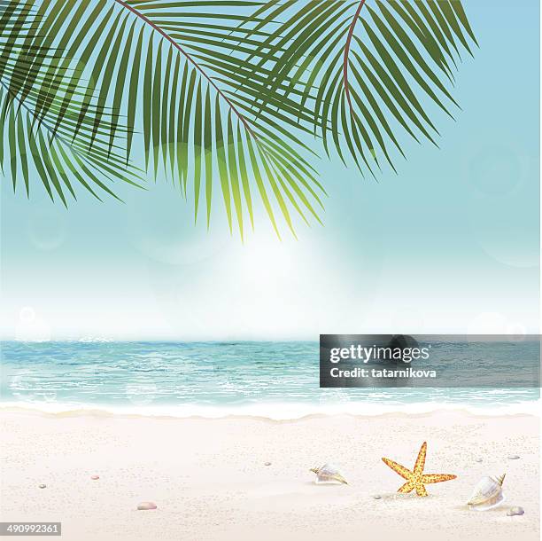 tropical background - spring break stock illustrations