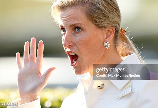 Sophie, Countess of Wessex attends the Autumn Racing & CAMRA Beer Festival meet at Ascot Racecourse on October 2, 2015 in Ascot, England.