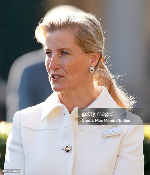 Sophie, Countess of Wessex attends the Autumn Racing & CAMRA Beer Festival meet at Ascot Racecourse on October 2, 2015 in Ascot, England.