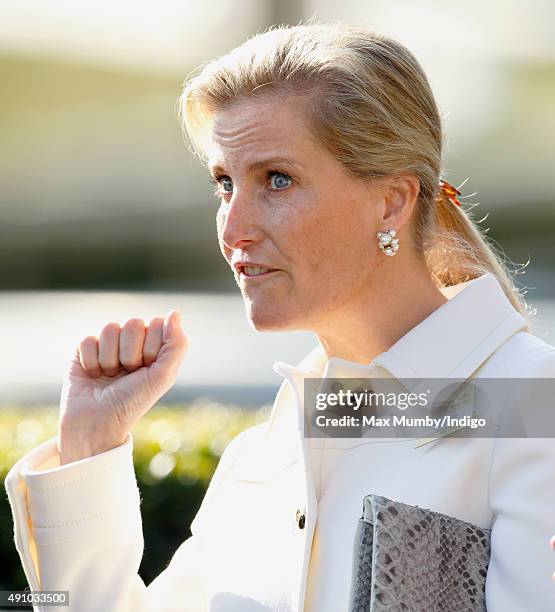 Sophie, Countess of Wessex attends the Autumn Racing & CAMRA Beer Festival meet at Ascot Racecourse on October 2, 2015 in Ascot, England.