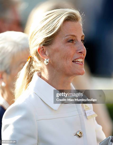 Sophie, Countess of Wessex attends the Autumn Racing & CAMRA Beer Festival meet at Ascot Racecourse on October 2, 2015 in Ascot, England.