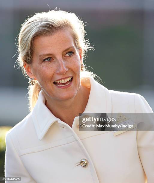 Sophie, Countess of Wessex attends the Autumn Racing & CAMRA Beer Festival meet at Ascot Racecourse on October 2, 2015 in Ascot, England.