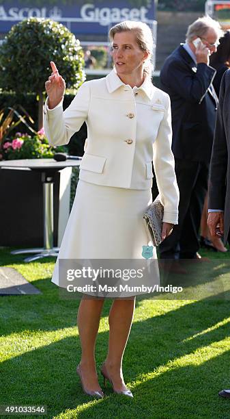 Sophie, Countess of Wessex attends the Autumn Racing & CAMRA Beer Festival meet at Ascot Racecourse on October 2, 2015 in Ascot, England.