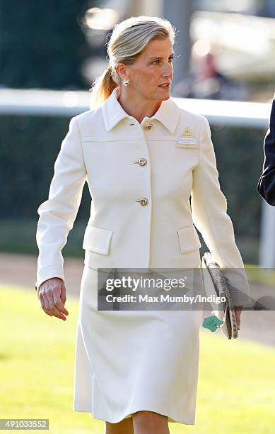 Sophie, Countess of Wessex attends the Autumn Racing & CAMRA Beer Festival meet at Ascot Racecourse on October 2, 2015 in Ascot, England.