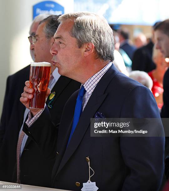 Nigel Farage drinks a beer as he attends the Autumn Racing & CAMRA Beer Festival meet at Ascot Racecourse on October 2, 2015 in Ascot, England.